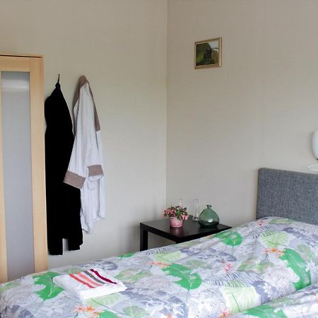 Manege Sanninghoeve B&B 奥德哈 外观 照片